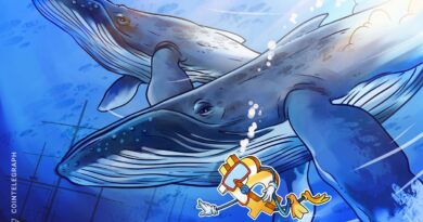 Bitcoin whales, pundits continued to stack throughout April, data shows