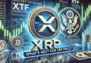SEC Postpones Franklin XRP ETF – Here’s When Experts Expect a Green Light