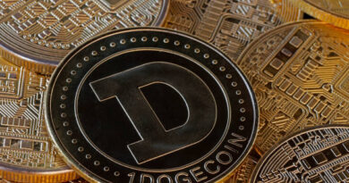 Dogecoin Price Pegged At $3.6 As These Bullish Factors Line Up