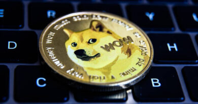 Dogecoin’s Journey To Its Current Peak Hinges On This Pivotal Price Level