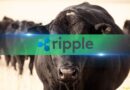 4 Mouthwatering Signs Ripple’s (XRP) Price Is About to Rip in May