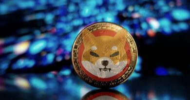 SHIB Price Predication – 17x Rally Predicted From Current Levels
