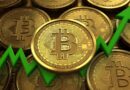 Bitcoin ETFs Extend Inflow Streak to Seven Days With $591 Million Boost