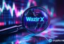 WazirX eyes May relaunch as restructuring plan awaits final court approval