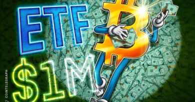 Bitcoin ETFs, gov’t adoption to drive BTC to $1M by 2029: Finance Redefined