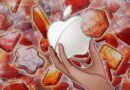 Apple softens crypto app rules, ‘hugely bullish’ for crypto industry