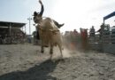 Is Bitcoin Bull Run Back? Daily RSI Shows Only Mild Bullish Momentum