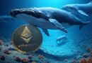 UK investment firm amasses $655M in Ethereum post-Pectra, profit hits $77M