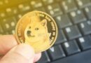 Dogecoin Price Tests Panic Zone At $0.21, Breakdown Could Lead To Price Crash