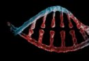 FutureHouse previews an AI tool for ‘data-driven’ biology discovery