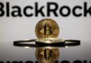 Abu Dhabi sovereign wealth fund, Citadel Advisors boost BlackRock Bitcoin ETF holdings