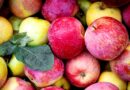 Trump’s Tariffs Are Threatening America’s Apple Juice Supply Chain