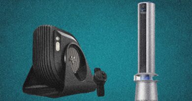 The 13 Best Fans, Editor Tested & Reviewed (2025)
