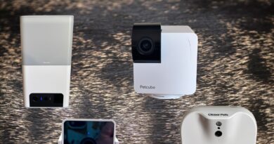 10 Best Pet Cameras (2025), Tested and Reviewed