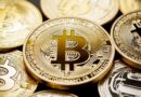 Bitcoin Dominance Hits 4-Year High on U.S. Jobs Shift