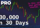 Bitcoin Price Surges $30,000 In 30 Days! What’s Next?