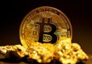 Bitcoin Price Confirmed Local Bottom As All Indicators Flash Bullish, Where’s Price Headed?