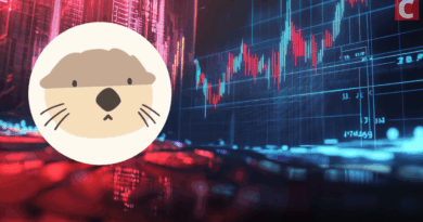 Haedal Protocol Jumps 25% After Bithumb Listing