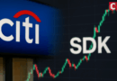 Citibank, SDK Partner to Tokenize $74B Private Equity Market