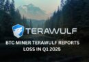 BTC Miner TeraWulf reports  net loss of $61.4 million in Q1 2025 amid rising difficulty