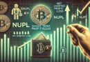 Bitcoin Short-Term Holders Not Selling Yet: NUPL Suggests Upside Potential