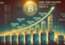 Bitcoin Long-Term Holders Add 339K BTC Since April 4 – Steady Accumulation Signals Conviction