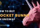 How to Buy Rocket Bunny Crypto? 2025