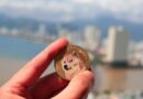 Dogecoin SuperCycle 2 Loading: Why A Repeat Of SuperCycle 1 Will Take Price Above $10