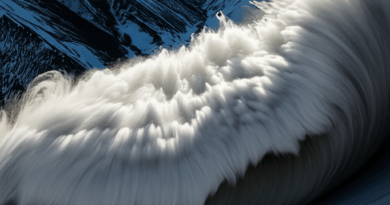 Avalanche Rumbles 21% Amid Record-Breaking Address Activity