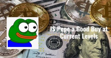 IS Pepe a Good Buy at Current Levels