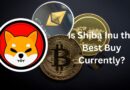 Is Shiba Inu the Best Buy Currently?