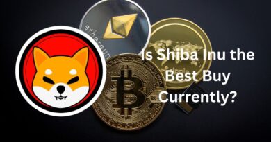 Is Shiba Inu the Best Buy Currently?