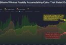 Bitcoin Sharks & Whales Continue To Accumulate: Stage Set For New All-Time High?