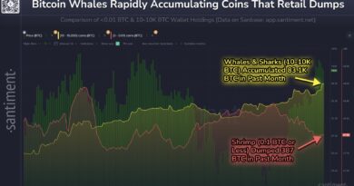 Bitcoin Sharks & Whales Continue To Accumulate: Stage Set For New All-Time High?