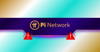 Why Is The PI Army So Passionate? Pi Network Co-Founder Explains
