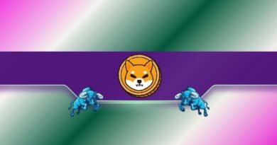 3 Reasons Why Shiba Inu (SHIB) Could be on the Verge of a Price Rally