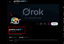 Elon Musk Changes Name to Gorklon Rust: Is He Behind GORK Crypto?
