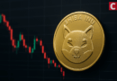 Shiba Inu Burn Rate Spikes 656% as SHIB Struggles to Rebound