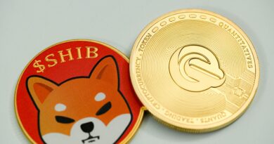 Shiba Inu 1,000-Day Consolidation To End In 400% Pop To New All-Time Highs – Analyst