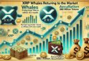 XRP Whales Are Back – 880 Million Tokens Accumulated This Month