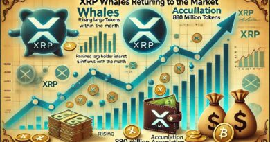XRP Whales Are Back – 880 Million Tokens Accumulated This Month