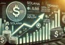 Solana Sees Renewed Demand As Capital Flows Turn Positive – Details
