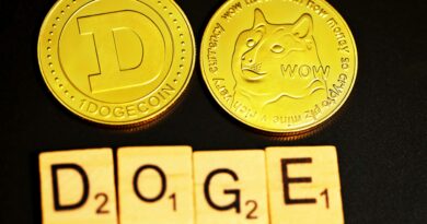 Dogecoin Uptrend Intact? Expert Analysis Sparks Bullish Buzz