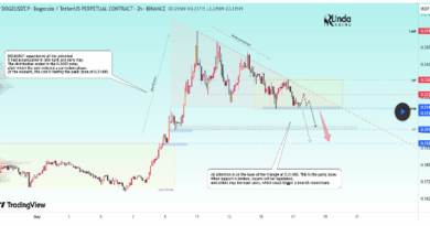 Dogecoin Price Tests Panic Zone At $0.21, Breakdown Could Lead To Price Crash