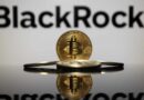 Blackrock Discusses Bitcoin as Strategic Asset Too Risky Not to Own