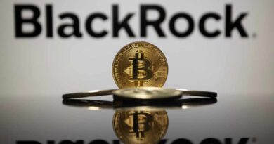 Blackrock Discusses Bitcoin as Strategic Asset Too Risky Not to Own