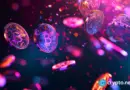 VanEck launches ‘NODE’ ETF targeting blockchain stocks
