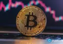 Bitcoin surges past $96k as institutional appetite grows