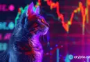 PopCat decision time for bulls – pullback or breakout?