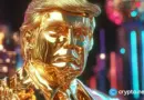 Trump memecoin reserve? Company allocates $20m to build one